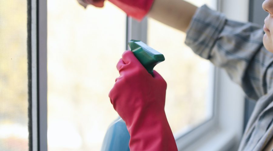 windows pura_cleaning